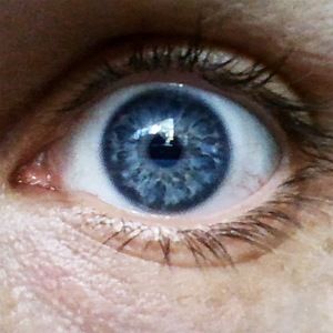 Meet your Posher, Leonardo